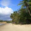 Trinidad, Cedros Bay beach, palms