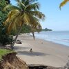 Trinidad, Granville beach, palms