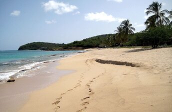Antigua, Eden beach, wet sand