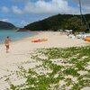 Antigua, Hermitage Bay beach, ivy