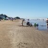 Argentina, Santa Teresita beach, wet sand