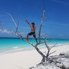 Bahamas, Cat Island, Pigeon Cay beach, snag