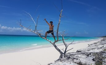 Bahamas, Cat Island, Pigeon Cay beach, snag