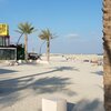 Bahrain, Marassi beach, palms