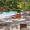 BVI, Virgin Gorda, Little Dix Bay beach, palm shade