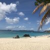 BVI, Virgin Gorda, Valley Trunk Bay beach, palm