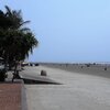 China, Fangchenggang White Beach, palms