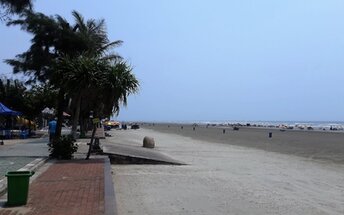 China, Fangchenggang White Beach, palms