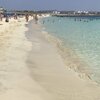 Cyprus, Ayia Napa, Makronissos beach, water edge