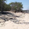 Dominicana, Manatee Bay beach, trees