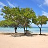 Dominicana, Playa El Castillo beach, trees