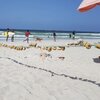 Egypt, Elbeytash beach, sand