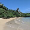 Hawaii, Molokai, Kumimi beach, trees