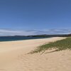 Hawaii, Molokai, Papohaku beach, ivy