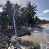 Honduras, Omoa beach, palms