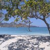 Indonesia, Sumbawa, Maluk beach, trees