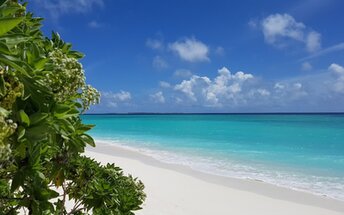 Maldives, Haa Dhaalu, Hanimaadhoo island, beach