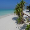 Maldives, Haa Dhaalu, Hanimaadhoo island, beach, white sand