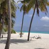 Maldives, Haa Dhaalu, Hondaafushi beach, hammock