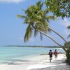 Maldives, Haa Dhaalu, Nolhivaranfaru beach, beach, palms