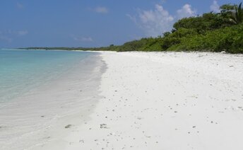 Maldives, Haa Dhaalu, Nolhivaranfaru island, beach, water edge
