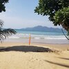 Philippines, Palawan, Duli beach, tree