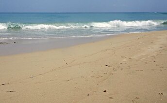 Puerto Rico, Vieques, El Gallito beach, wet sand