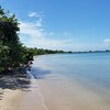 Puerto Rico, Vieques, Mosquito Pier beach, trees