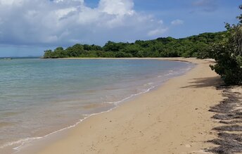 Puerto Rico, Vieques, Mosquito Pier beach, wet sand