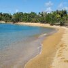 Puerto Rico, Vieques, Punta Arenas beach, water edge