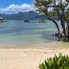 Seychelles, Mahe, Baie Lazare, Pineapple Beach, mangrove