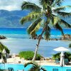 Seychelles, Mahe, Baie Lazare, Pineapple Beach, palm
