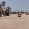 Spain, Melilla beach, palms