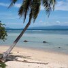 Thailand, Phangan, Oxa beach, palm