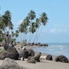 Trinidad, Coral Point beach, snags