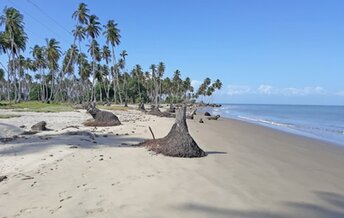 Trinidad, Coral Point beach, wet sand