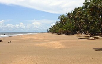 Trinidad, Erin Bay beach, palms