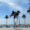 Vietnam, Phu Quoc, Pullman beach, palms