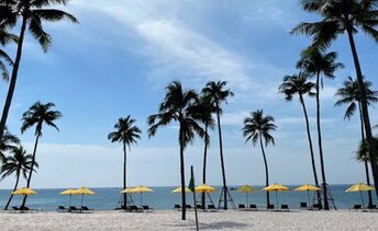 Vietnam, Phu Quoc, Pullman beach, palms