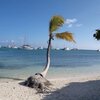 BVI, Anegada, Setting Point beach, boats