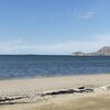 Dominicana, Playa Juan de Bolanos beach, palms