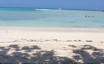 Dominicana, Punta Rucia beach, tree shade