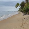 Gabon, La Pointe Denis beach, palm