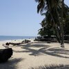 Gabon, Tropicana beach, snags