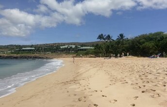 Hawaii, Lanai, Sharks Bay beach, water edge