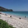 Indonesia, Sumbawa, Jelenga beach, ivy