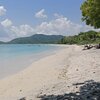 Indonesia, Sumbawa, Jelenga beach, trees