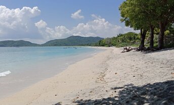 Indonesia, Sumbawa, Jelenga beach, trees