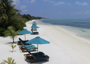 Maldives, Addu Seenu, Canareef island, sunbeds