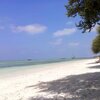 Maldives, Addu Seenu, Canareef island, tree shade